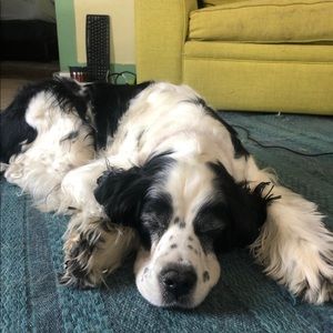 Meet your Posher, Julia